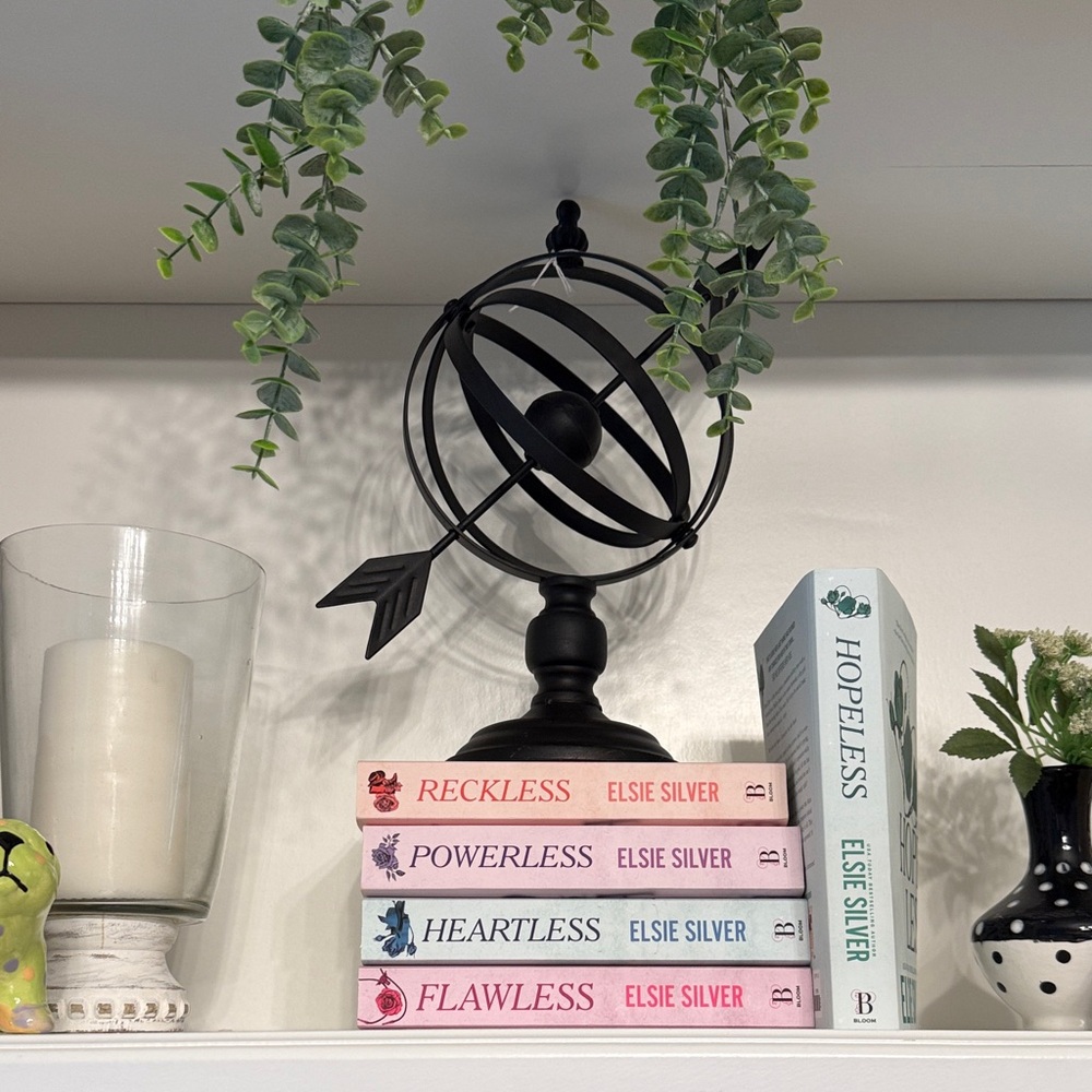 Chesnut Springs Series 
By Elsie Silver